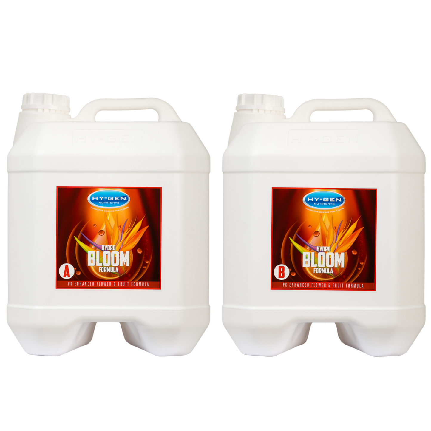 HY-GEN Hydro Bloom Two Part