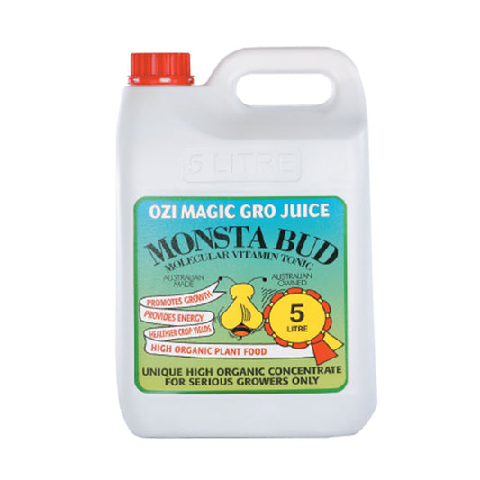 OZI MAGIC - Monsta Bud