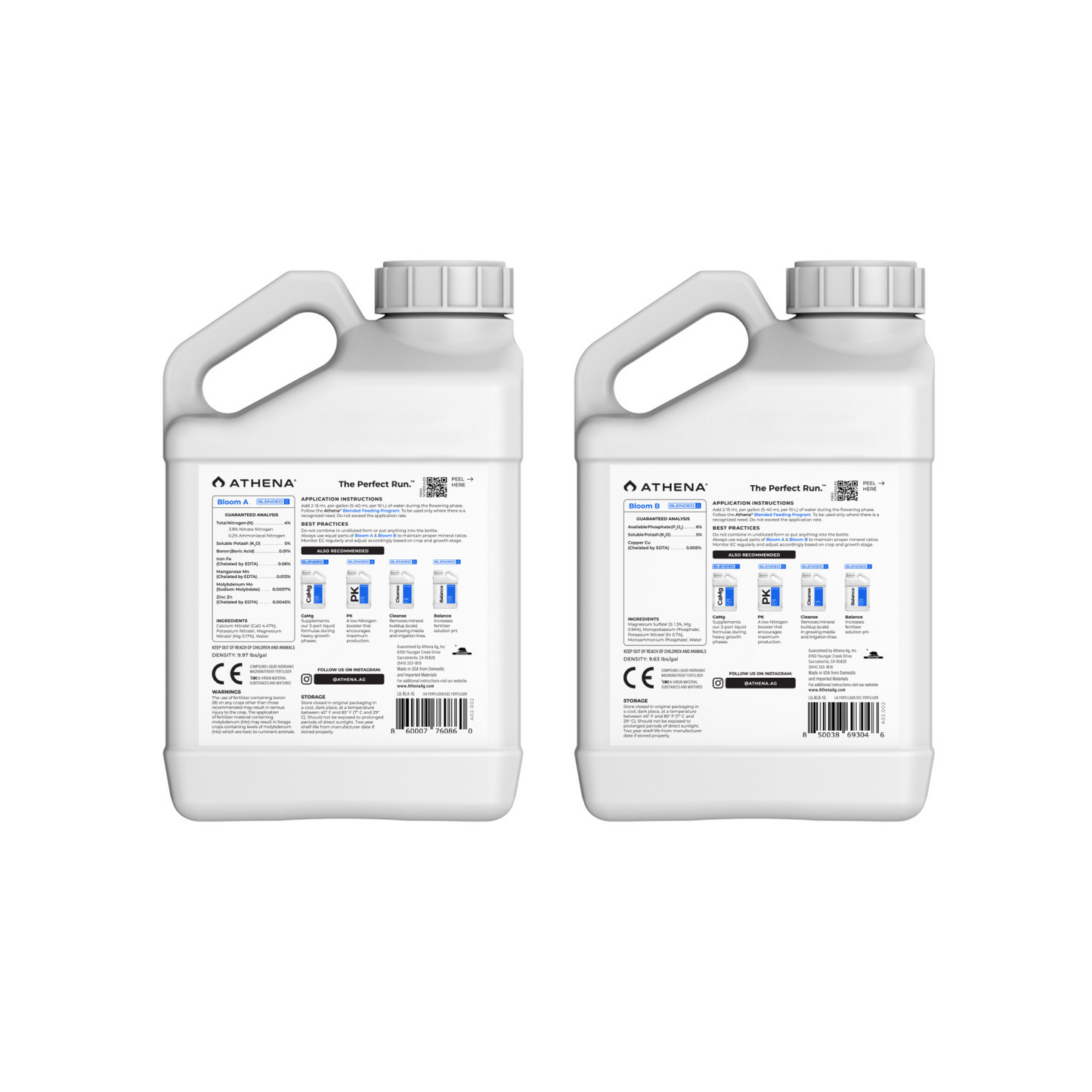 Athena Blended Bloom A & B