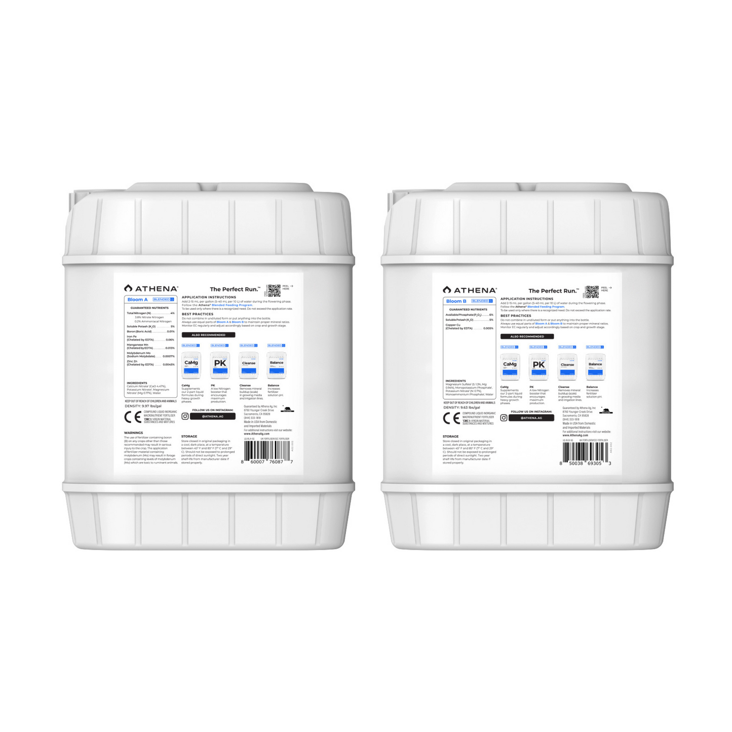 Athena Blended Bloom A & B