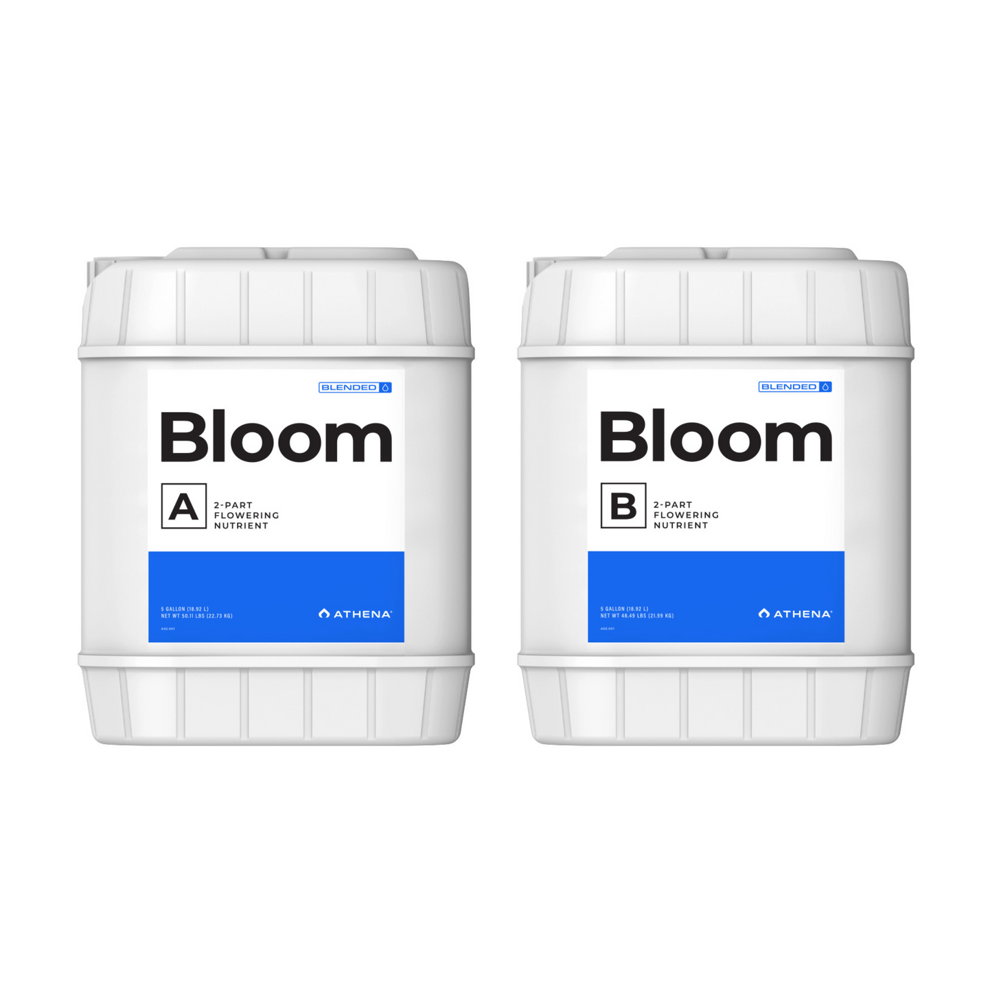 Athena Blended Bloom A & B