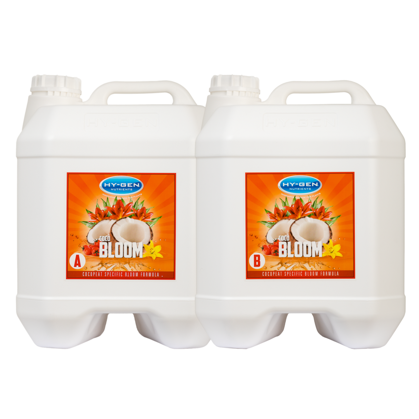 HY-GEN Coco Bloom Two Part