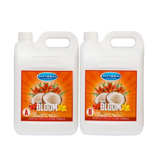 HY-GEN Coco Bloom Two Part