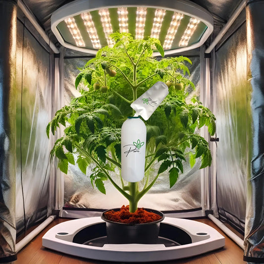 Pure CO2 Blast Refill