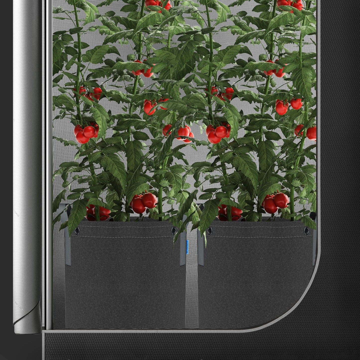 AC Infinity - Heavy Duty Fabric Pots, 7 Gallon pots / 5 pack