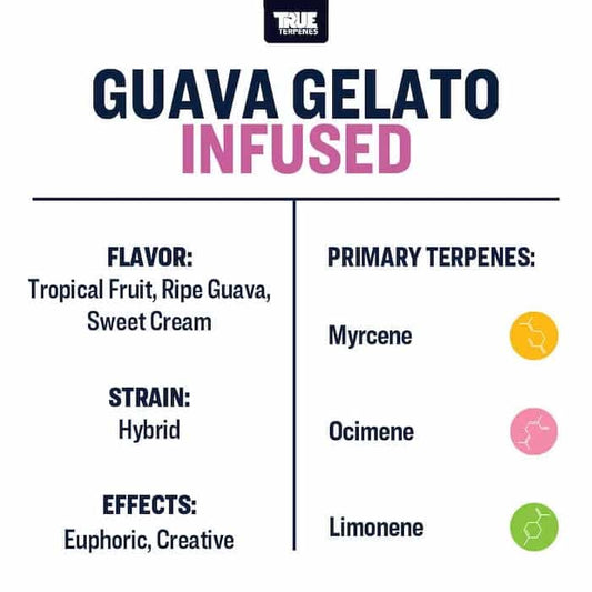 True Terpenes - Guava Gelato 5 mL
