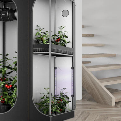 AC Infinity - Ionbeam U2, Targeted Spectrum UV LED Grow Light Bars, 2-Bar Kit 11 inch / 28 cm