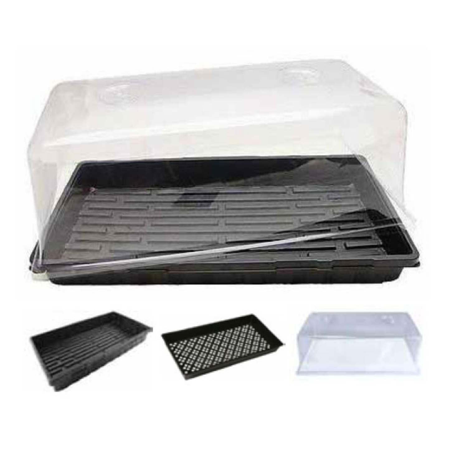 Mondi Propagation Kit