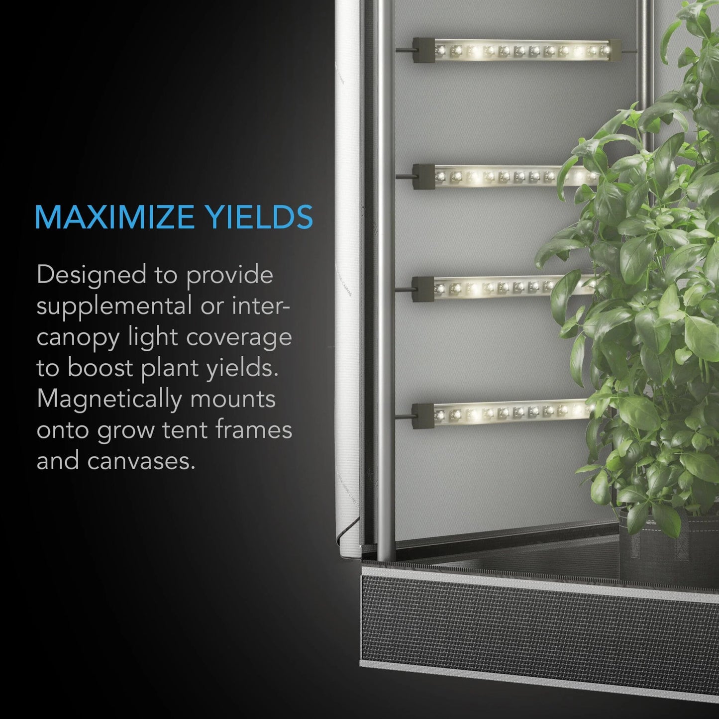 AC Infinity - Ionbeam S16, Full spectrum LED grow light box w light bars, Samsung LM301H EVO 16 inch length / 40.6 Cm