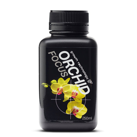 GT - ORCHID FOCUS