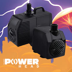 Plont Powerheads