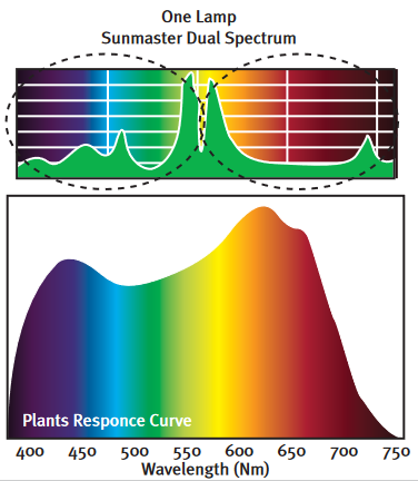 SunMaster 600w HPS Lamp