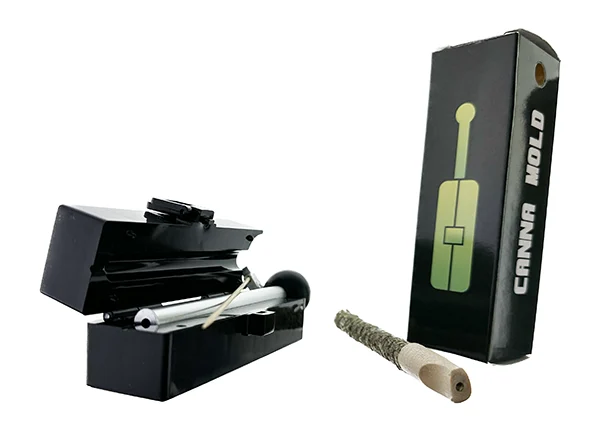 Canna Mold