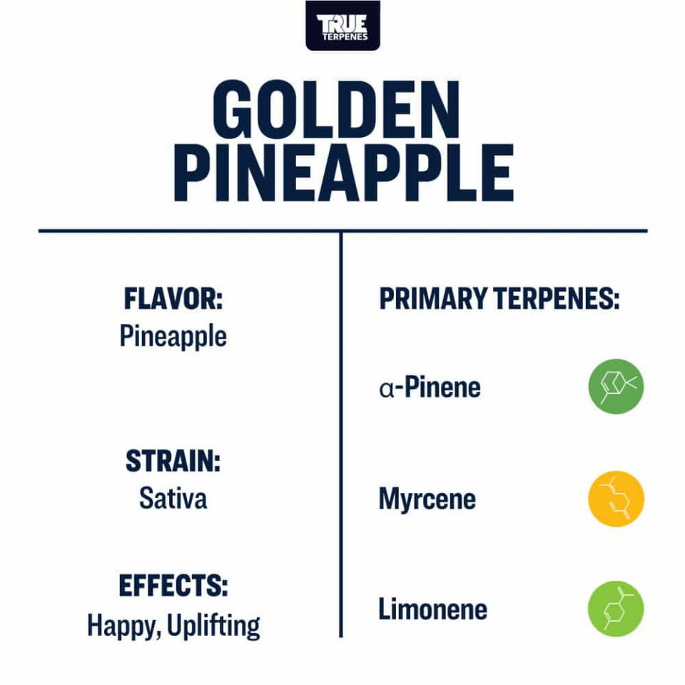 True Terpenes - Golden Pineapple