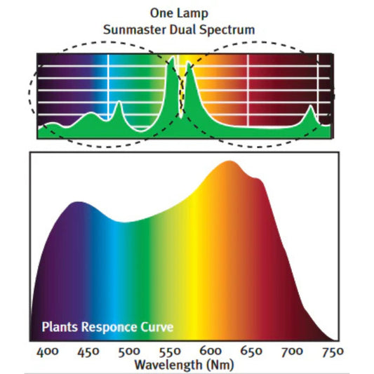 SunMaster 600w HPS Lamp