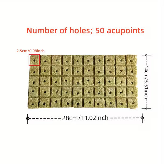 Rockwool Starter Cubes 100pk