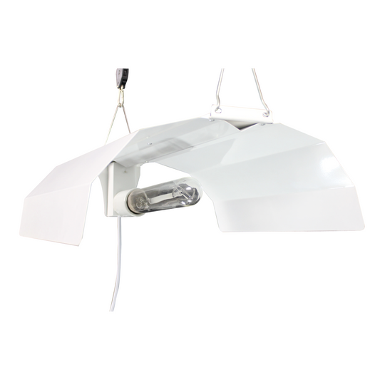 *CLEARANCE* BROAD WING W SERIES REFLECTOR