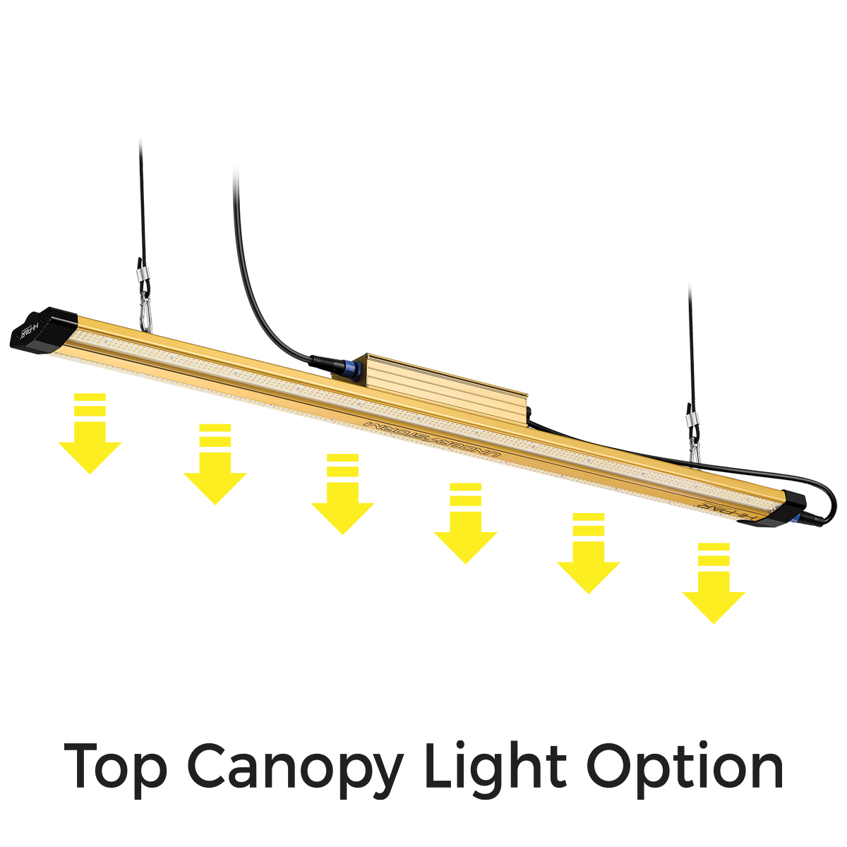 HI-PAR Understorm LED (Including Dimmer)