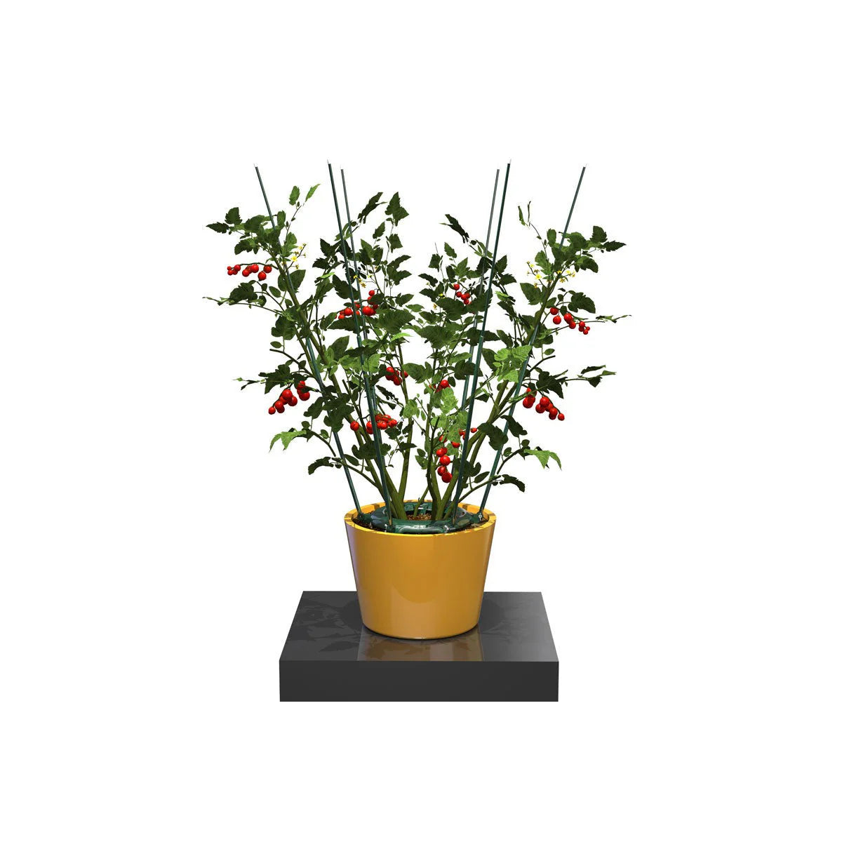 Global Garden Friend Fully Adjustable Ultimate Plant Cage