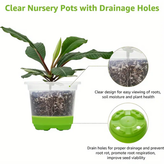 Green Plastic Silicone Bottom Propagation Pot