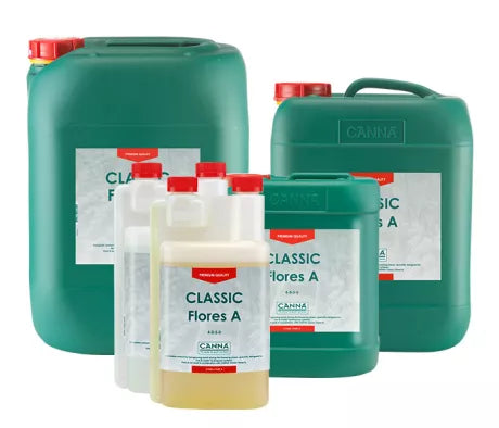 CANNA - Classic Flores