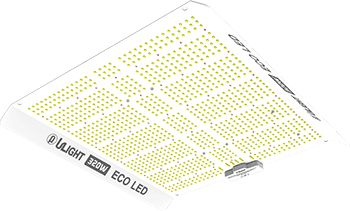 ***SPECIAL ORDER*** ULight - 320 Watt ECO LED