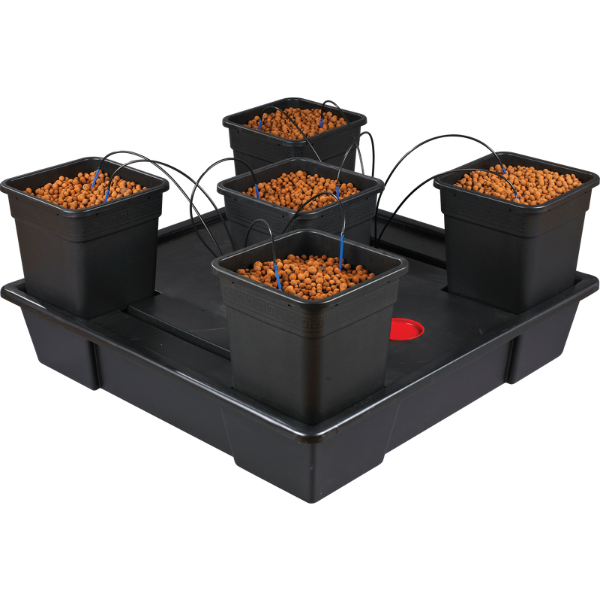 Origin XXL 5 (Wilma) 5 x 25L