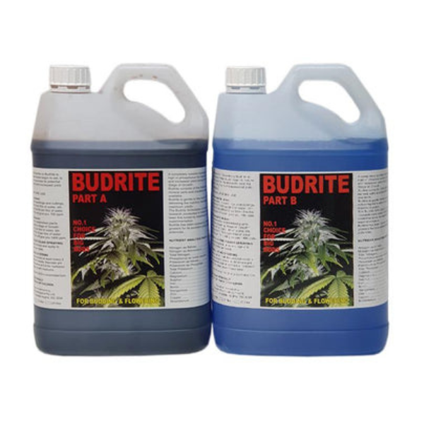 Budrite A&B