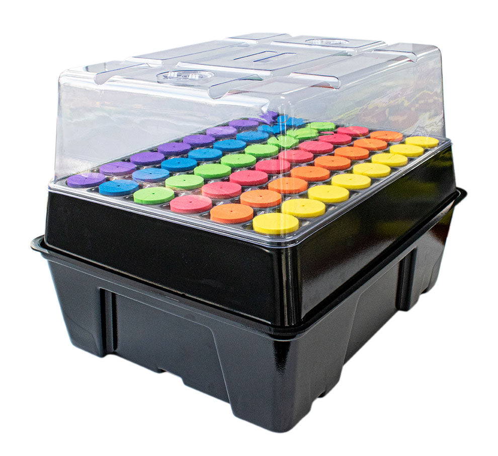 Seahawk Cloning Station 48