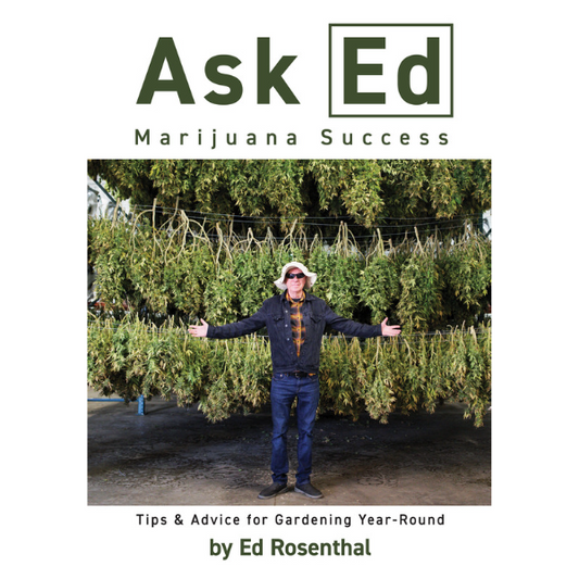 Ask Ed Marijuana Success