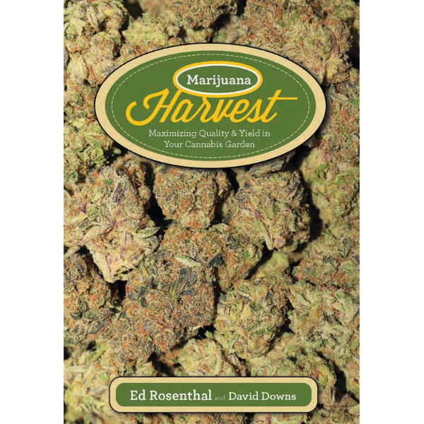 Marijuana Harvest