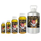 H&G - Roots Excelurator