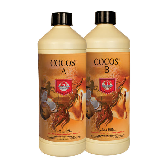 H&G Cocos A&B