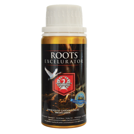 H&G Roots Excelurator
