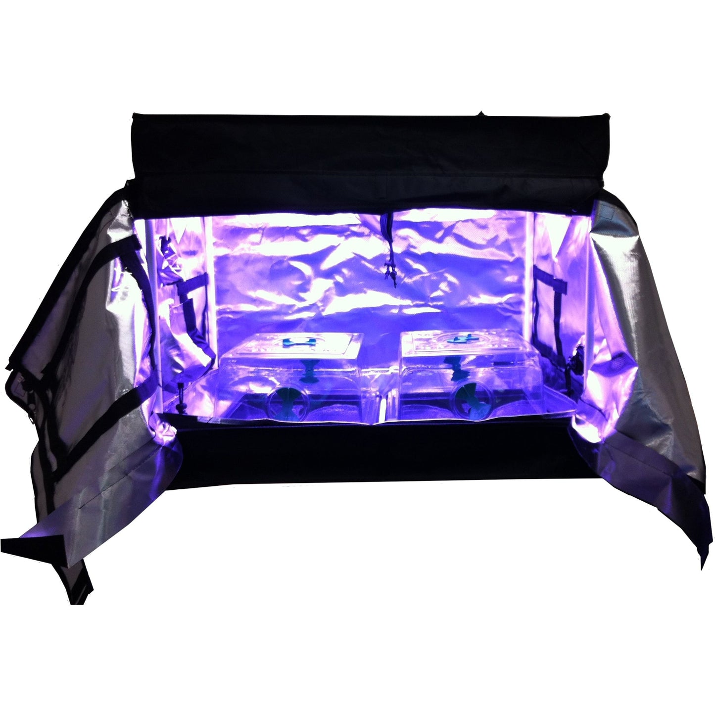 Seahawk Clone Tent - 0.75 x 0.5 x 0.7