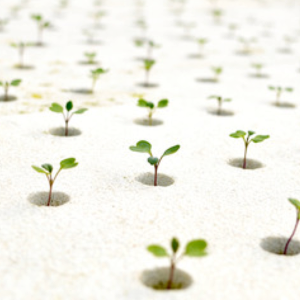 Propagation