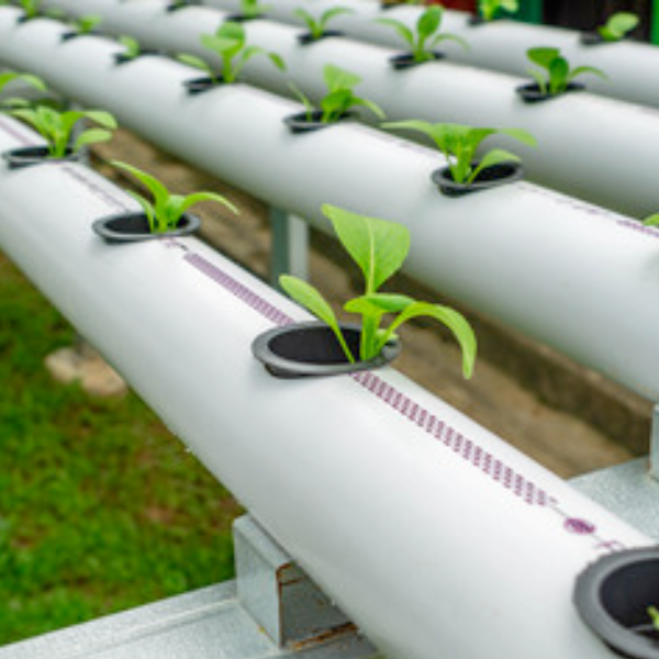 Plumbing & Irrigation
