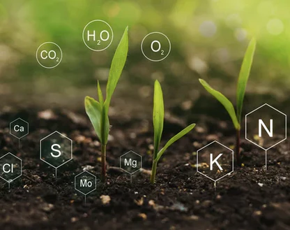Nutrients & Additives