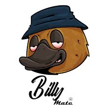 Billy Mate