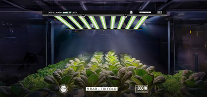 Digi-Lumen Halo 1000 W LED