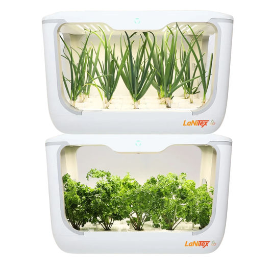 Lanitex - Indoor Hydroponic Grow Box (15 Hole)