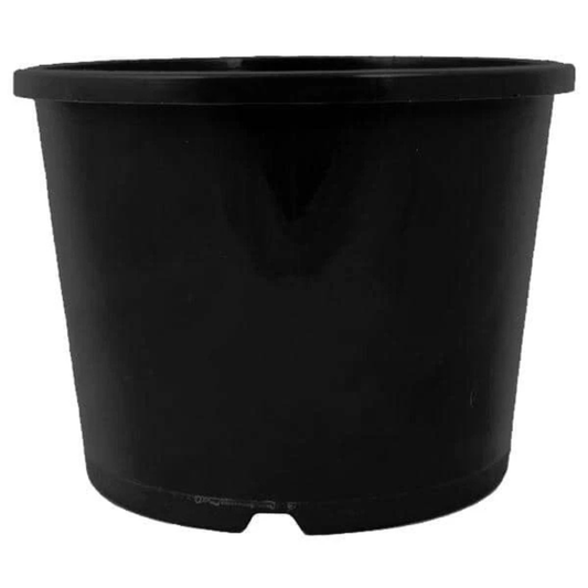 200mm Squat Pot