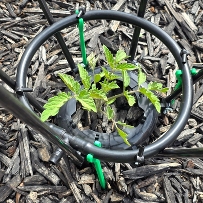 Feeder Ring Positioning Stakes