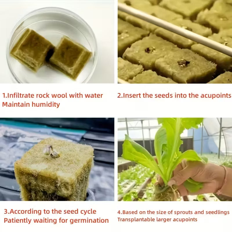 Rockwool Starter Cubes 100pk
