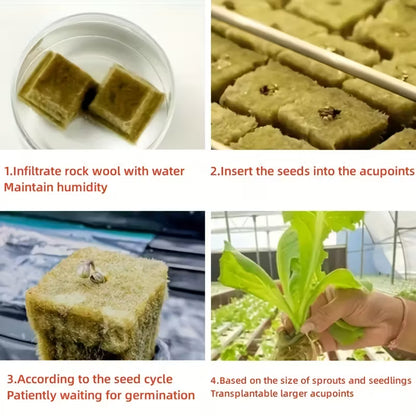 Rockwool Starter Cubes 100pk