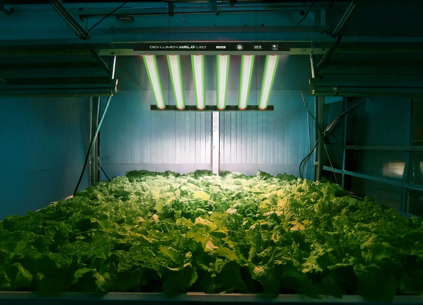 Digi-Lumen Halo 400 W LED