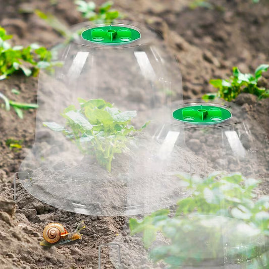 Clear Garden Dome