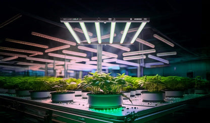 Digi-Lumen Halo 720 W LED