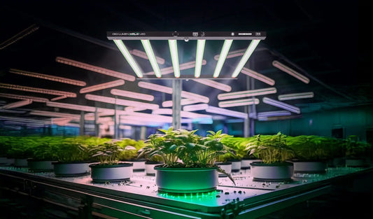 Digi-Lumen Halo 720 W LED