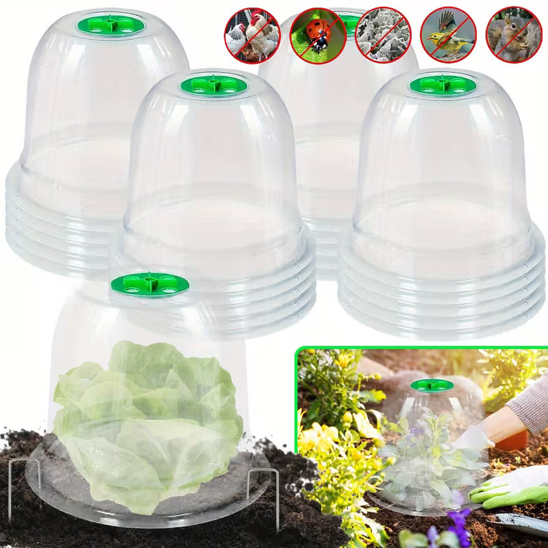 Clear Garden Dome